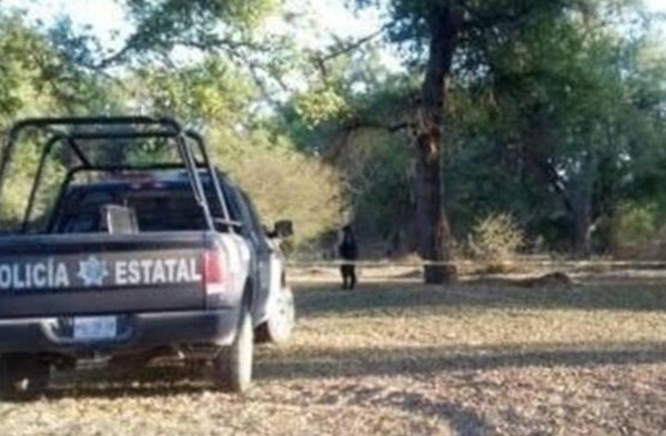 osamenta