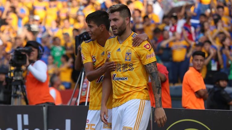 tigres
