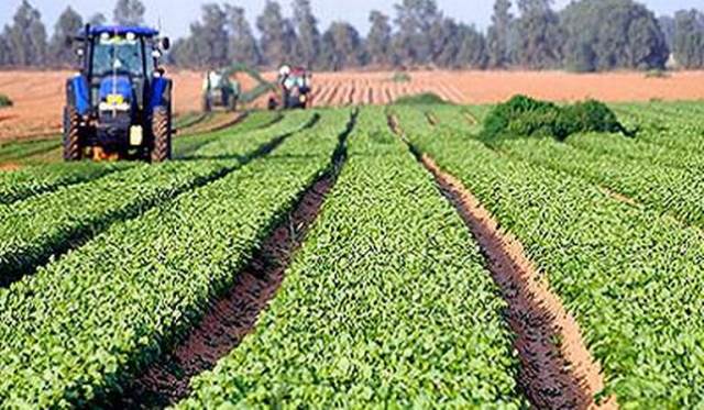 Desarrollo-agrícola