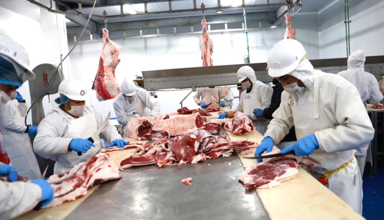 WhatsApp Image 2019-01-02 at 15.13.28