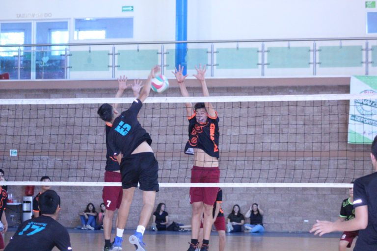 WhatsApp Image 2019-01-21 at 1.27.18 PM