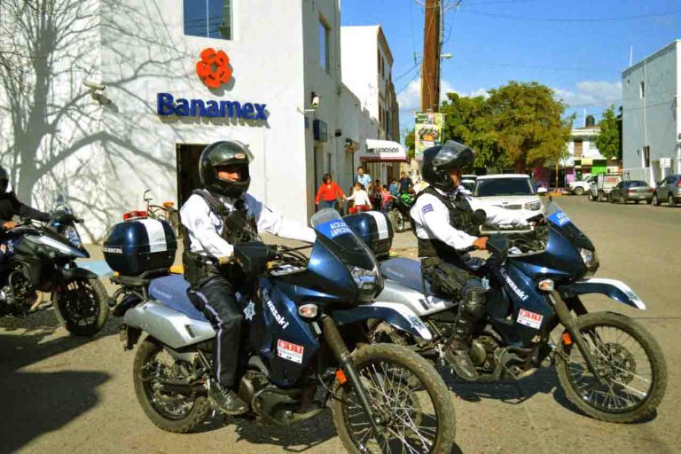 WhatsApp Image 2019-01-23 at 2.12.26 PM