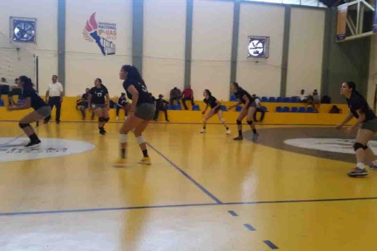 WhatsApp Image 2019-01-26 at 13.28.48