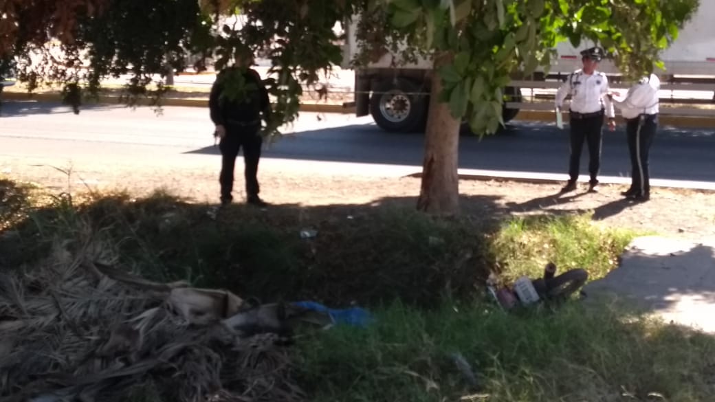 thumbnail_IMG-20190121-WA0010