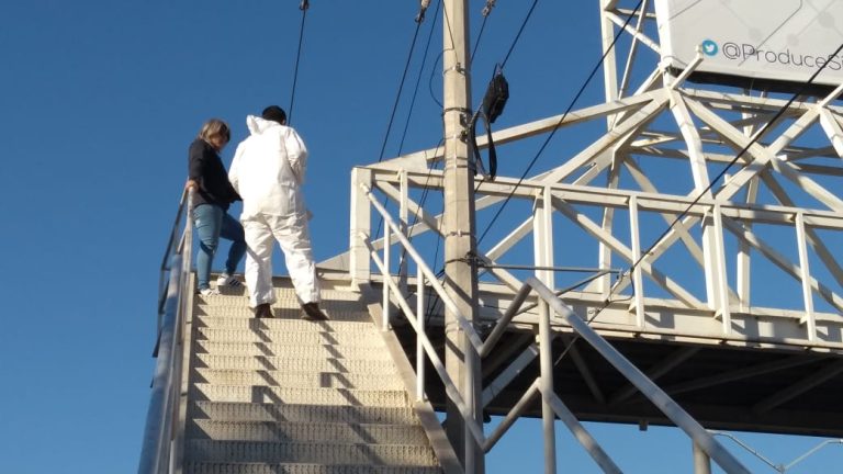 thumbnail_IMG-20190131-WA0008