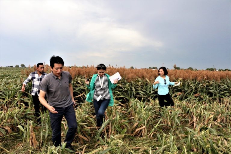 thumbnail_e0fb93d9-d18b-4c76-be58-72e7c5a18b80