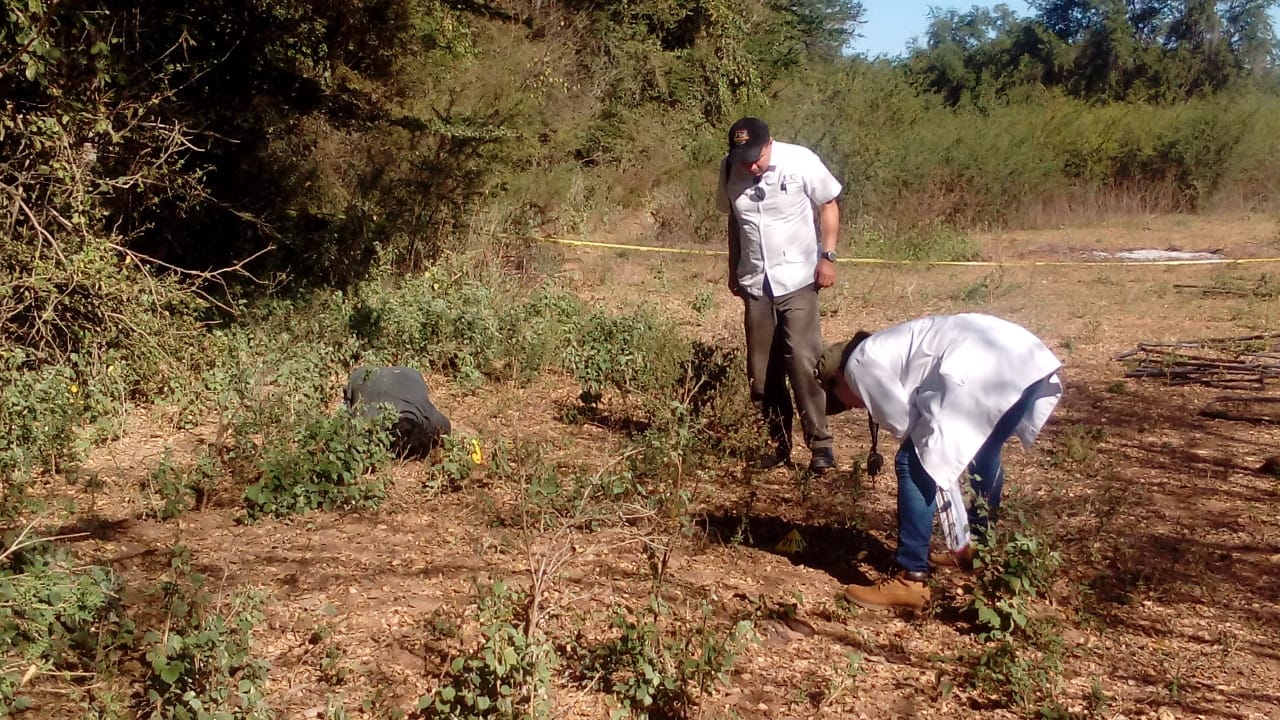 51132338_1171330479701318_5648285287374127104_o