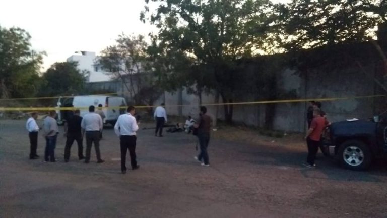 53643437_1191983494302683_7993060113541758976_n