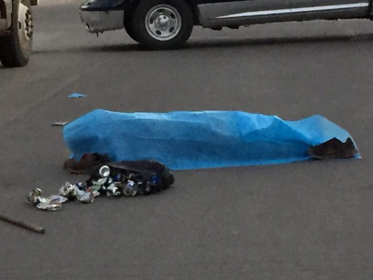 54463209_1203044179863281_6756469996014010368_o