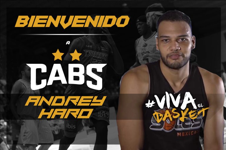 ANDREY HARO BIENVENIDO