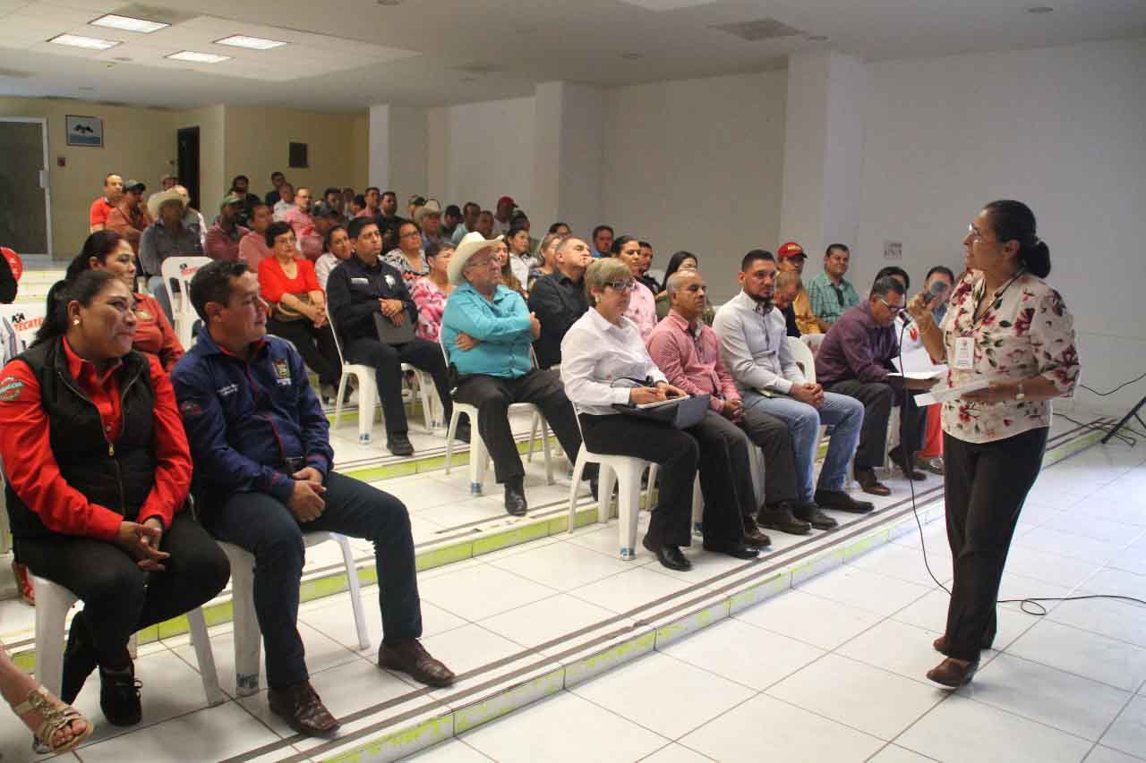 WhatsApp Image 2019-03-06 at 8.38.48 PM