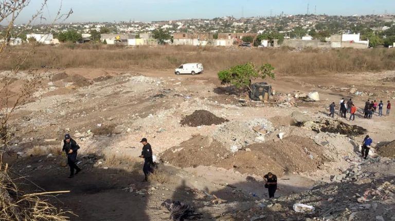 58420139_1226709687496730_7137911487590301696_n