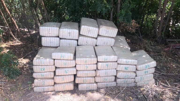 58612912_1228311224003243_1772750663411826688_n