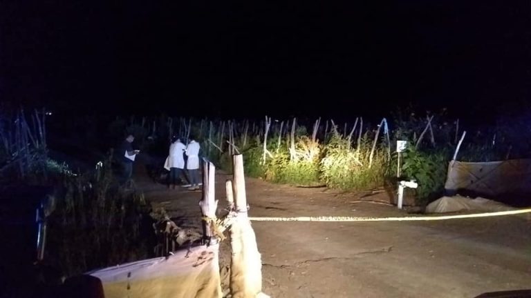 58682490_1226230040878028_5352014444681494528_n