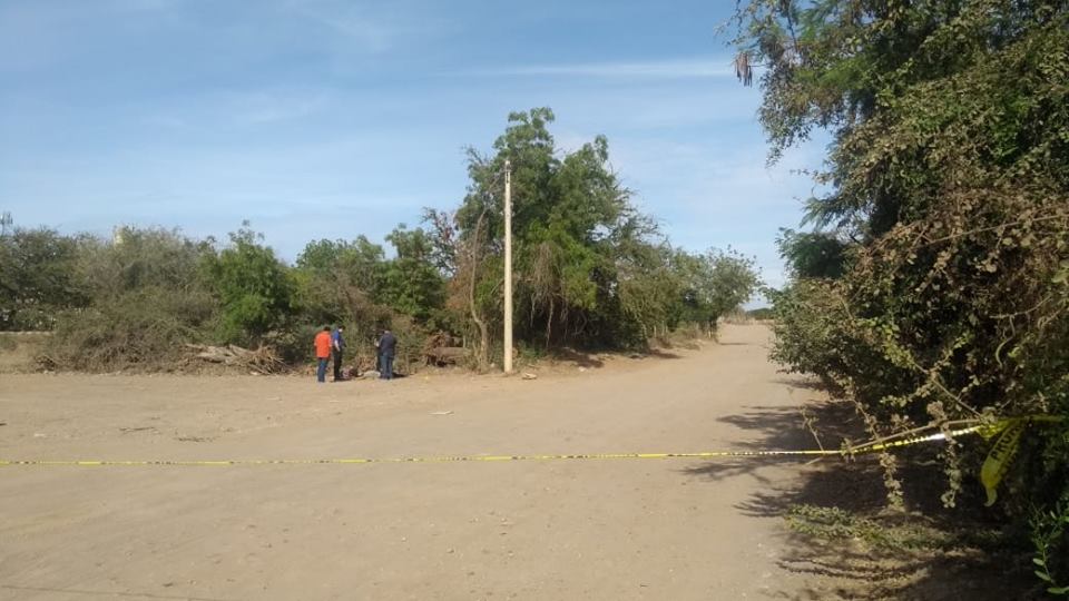 58749413_1226912537476445_976684668441067520_n