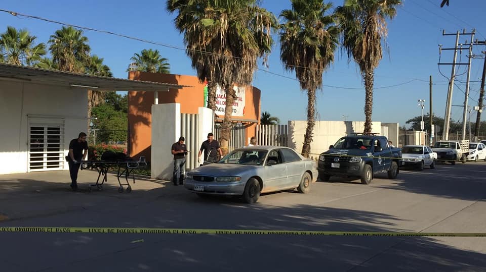 59243956_1224452184389147_6029510200929550336_n