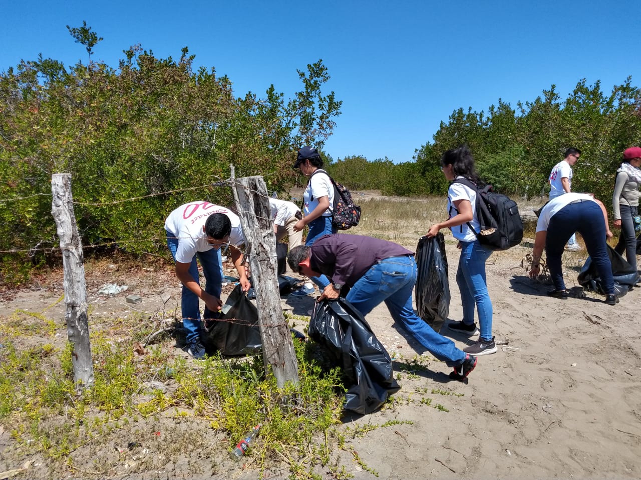 WhatsApp Image 2019-03-31 at 1.36.29 PM