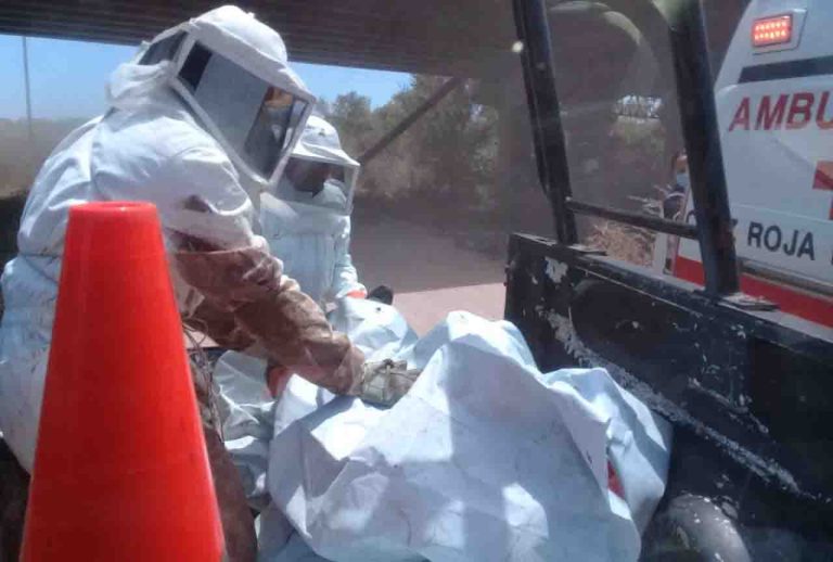 WhatsApp Image 2019-04-20 at 3.33.05 PM (1)