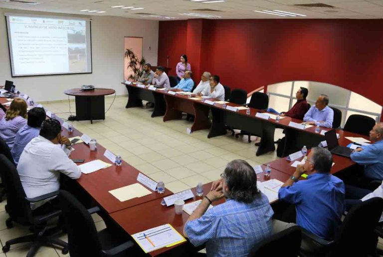 WhatsApp Image 2019-04-22 at 1.21.39 PM