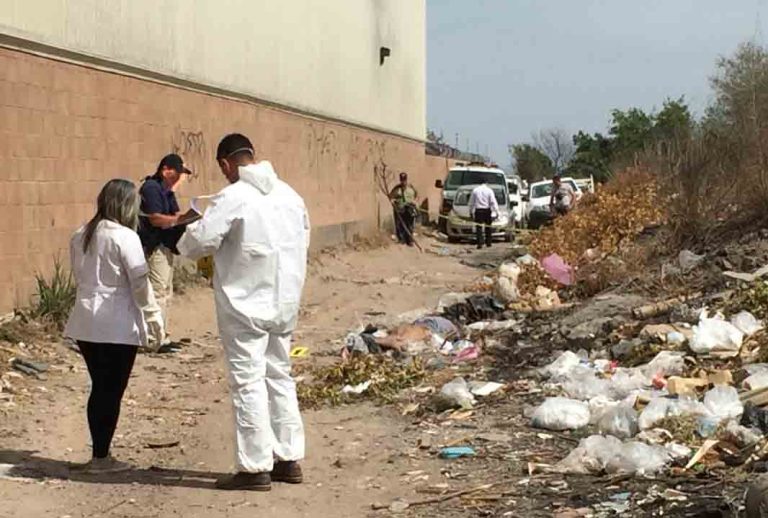 WhatsApp Image 2019-04-22 at 10.51