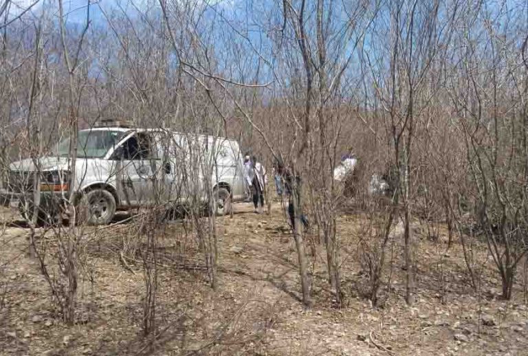 WhatsApp Image 2019-04-30 at 1.50.02 PM