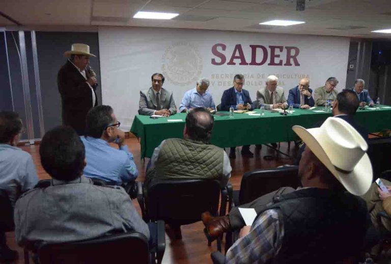 b4d3e5ec-03b8-492b-b495-06af02a18128 (1)