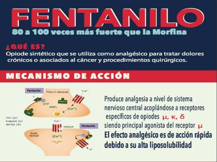 thumbnail_IMG-20190423-WA0026