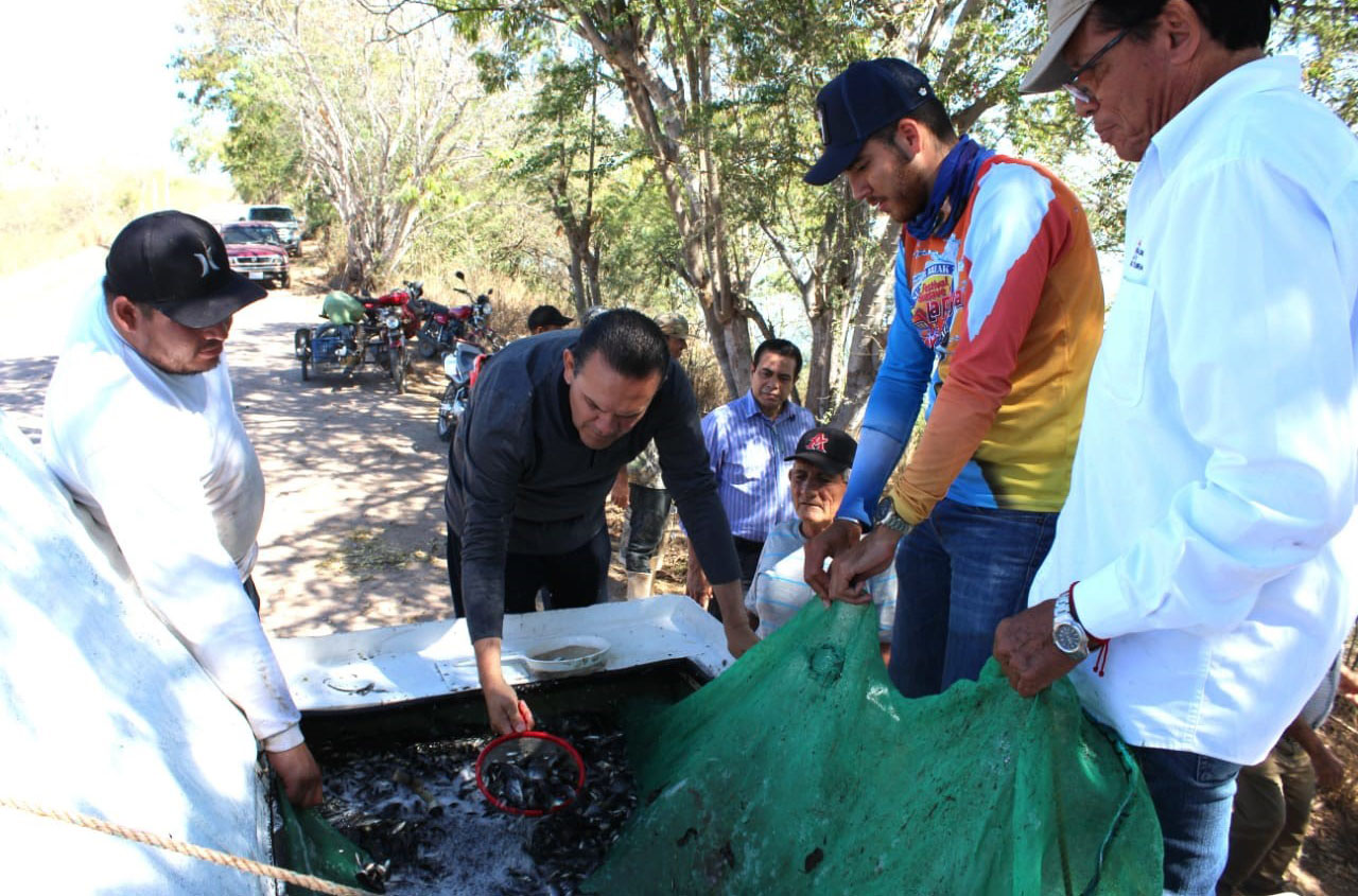 WhatsApp Image 2019-05-20 at 11.52.06 AM (3)