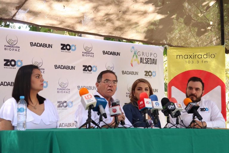 WhatsApp Image 2019-05-22 at 11.59.27 PM