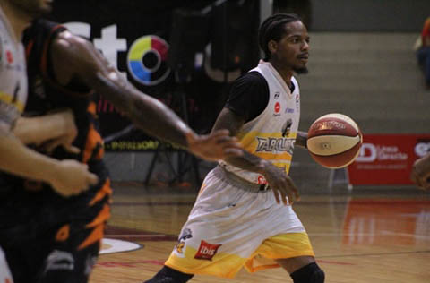 Cln LP 1-1