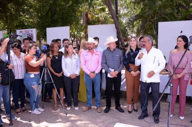 WhatsApp Image 2019-06-05 at 5.52.51 PM