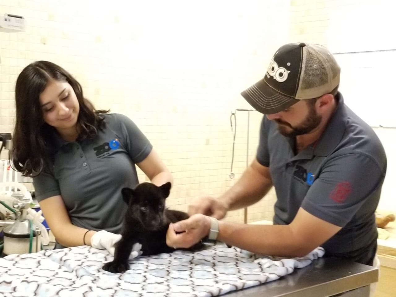 WhatsApp Image 2019-06-06 at 1.31.45 PM