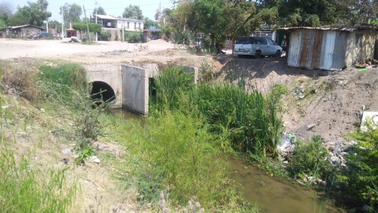 WhatsApp Image 2019-06-09 at 14.06.42 (1)