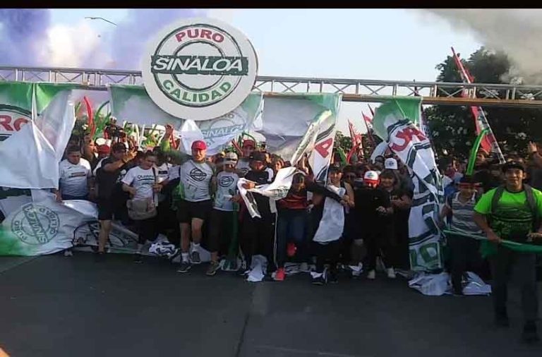 WhatsApp Image 2019-06-15 at 11.03.09 AM (1)