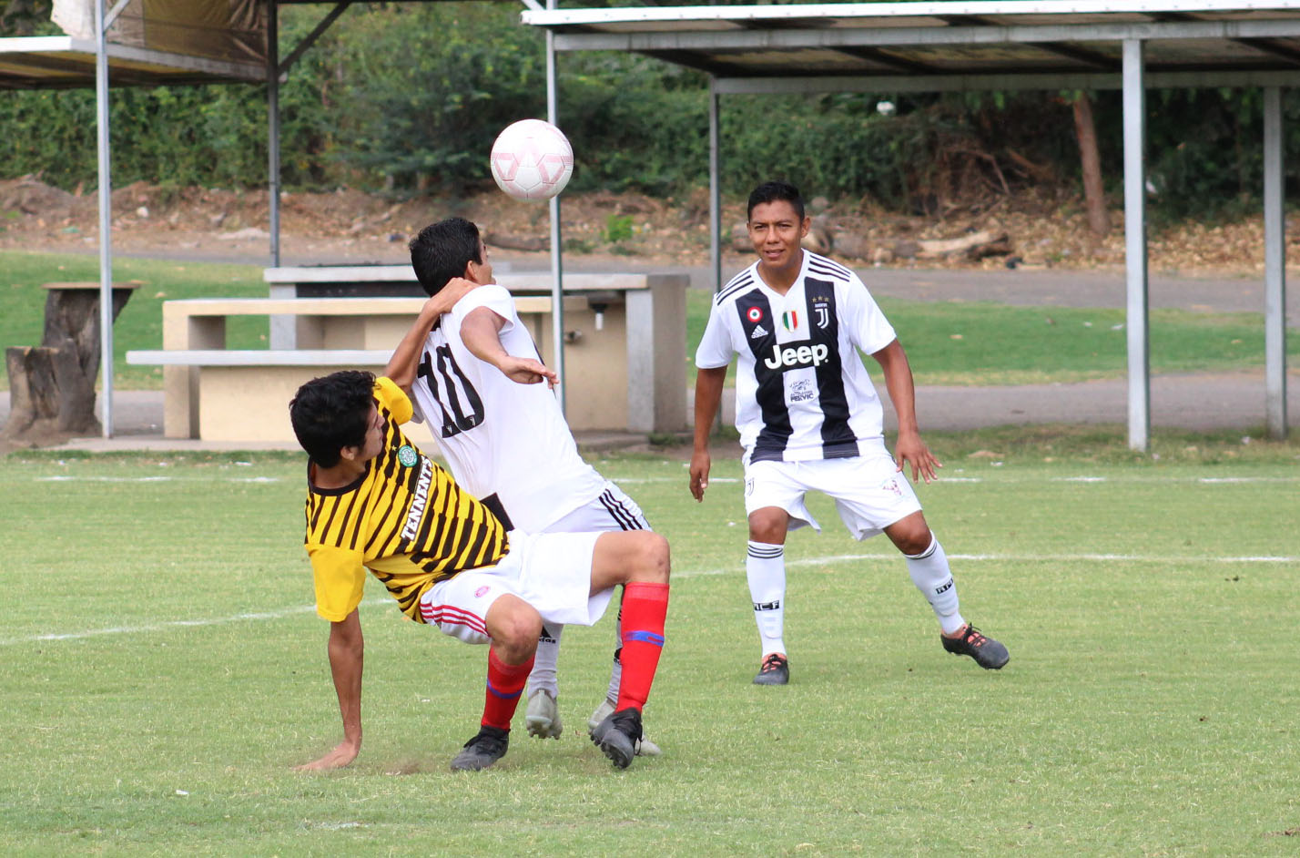 penal-3