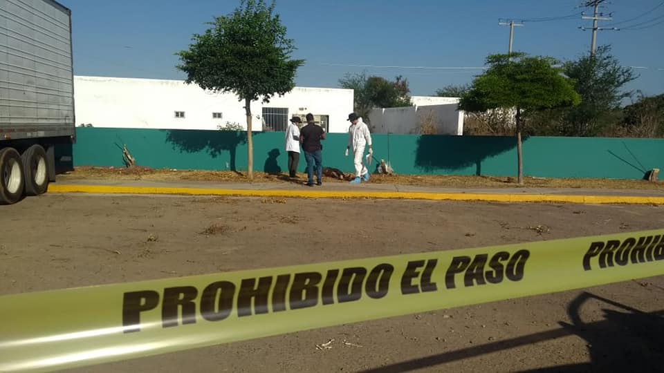 66241874_1280190622148636_85632194659221504_n