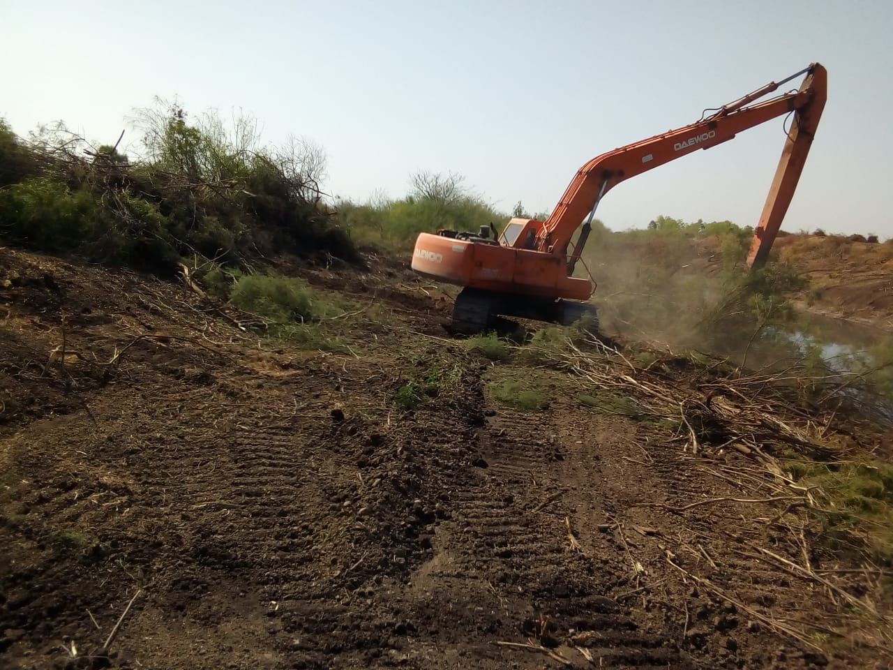 WhatsApp Image 2019-07-08 at 2.08.49 PM