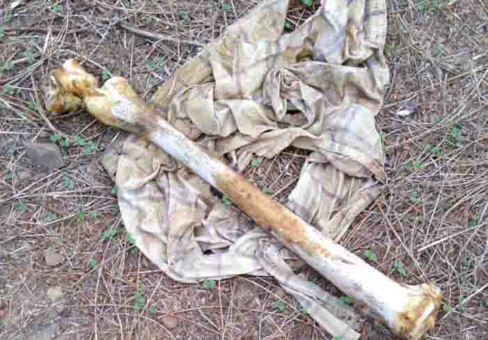 WhatsApp Image 2019-07-27 at 11.33.43 AM