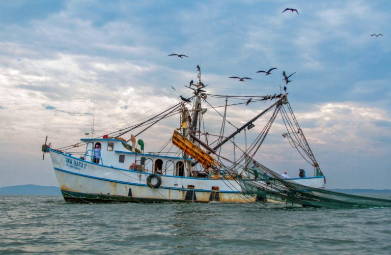 190815 SADER CONAPESCA DOF ZONAS DE VEDA PESCA CAMARÓN-2