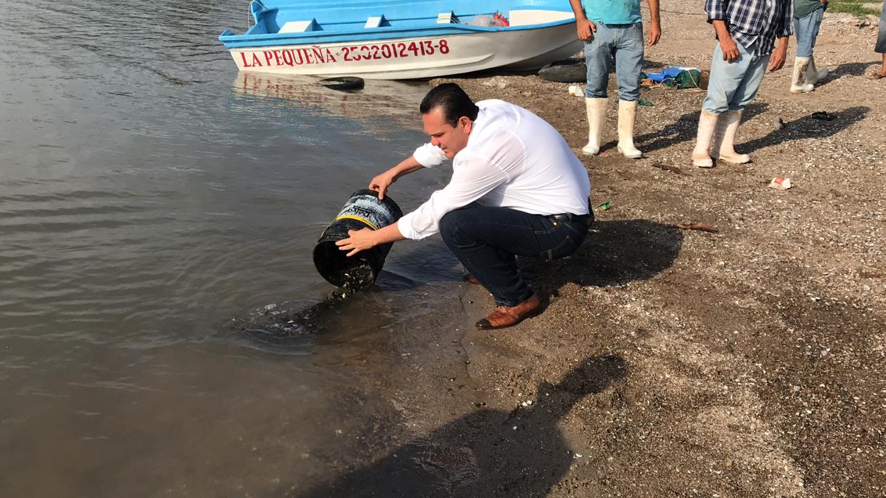 IMG-20190816-WA0007