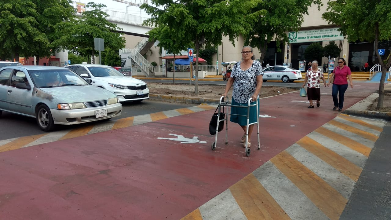 Pasos peatonales a nivel de calle (1)