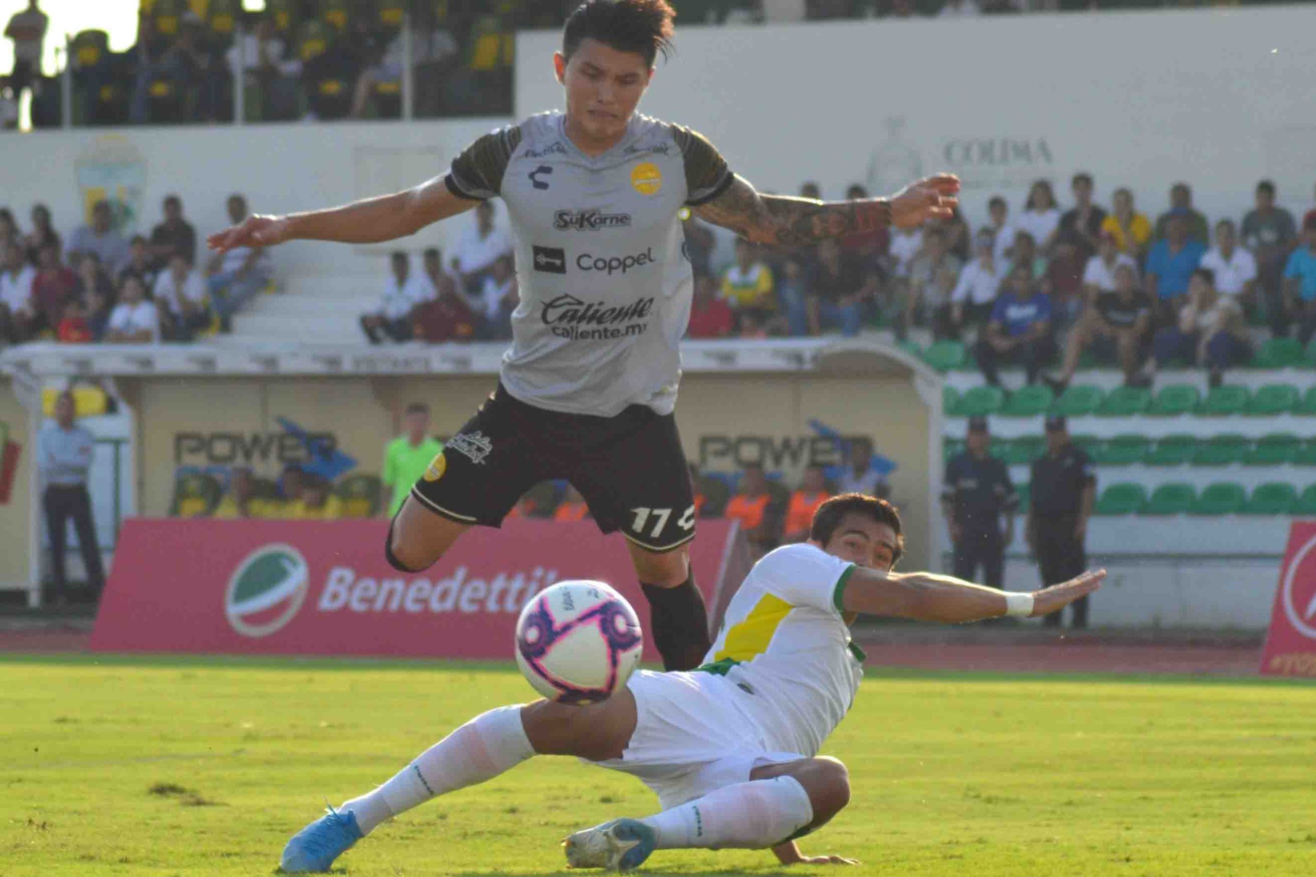 Loros VS Dorados 1