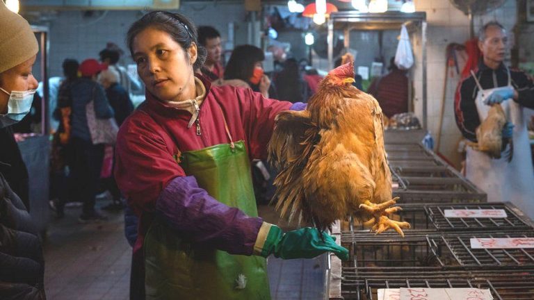 _111196710_gettyimages-1197610358