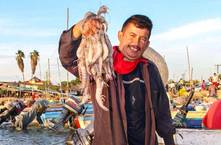 89473478_1503129673188062_831504629123514368_n