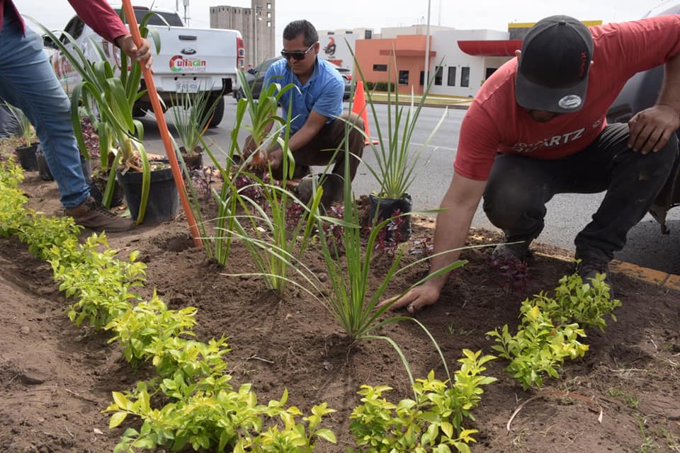 89818381_1506185872882442_4463442151304331264_n