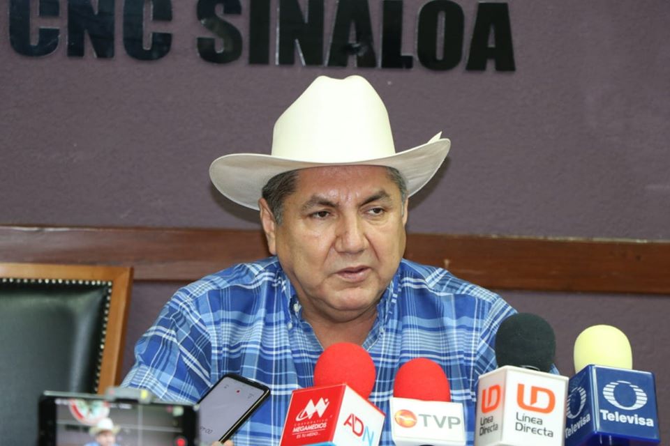 90203641_1513359355498427_4660852343015735296_o