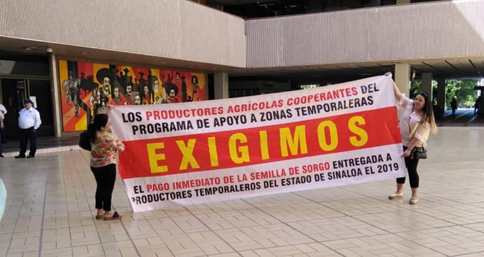 91539403_1514415988726097_7419598880498515968_n