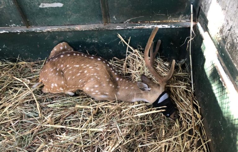 WhatsApp Image 2020-03-24 at 9.49.00 AM