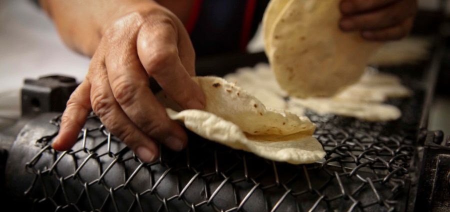 kilo-tortilla-900x425