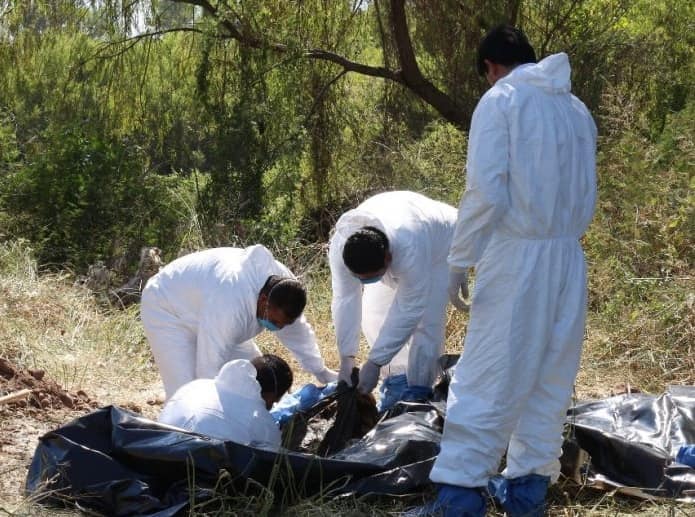 92118219_1522257521275277_7367381720380735488_n